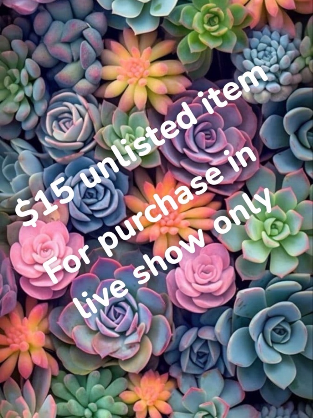 DO NOT 🩷 76-100 unlisted item